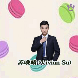苏晚晴 (Vivian Su)